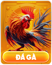 Đá gà